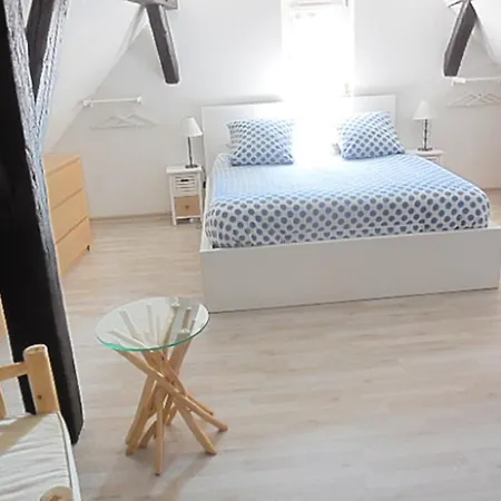 5 Chambres En Hyper Centre Ville De Colmar